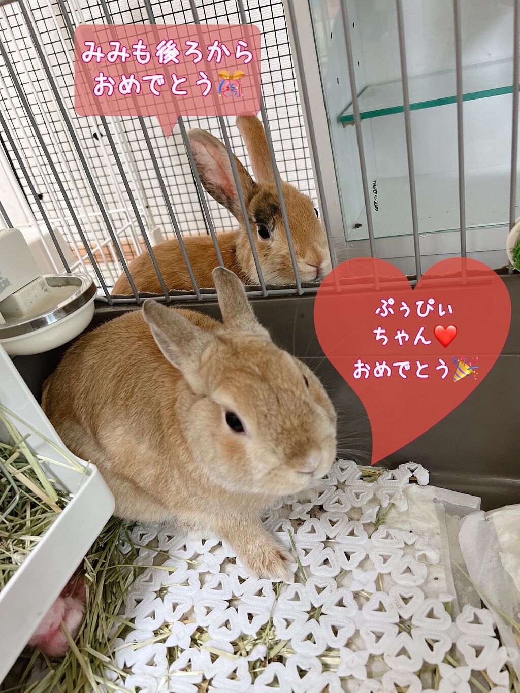 シングルカラーアイシャドウ/CEZANNE/単色アイシャドウを使ったクチコミ(4枚目)