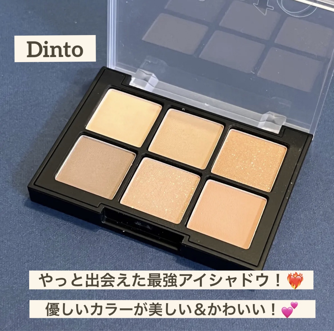ブラーフィニシュシャドウパレット/Dinto/アイシャドウパレットを使ったクチコミ（1枚目）
