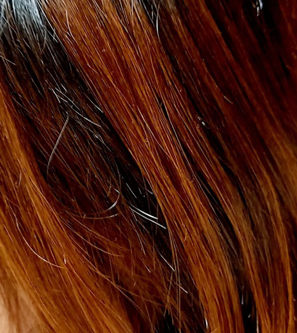 エデンの女神 forダメージ/テラムス/市販シャンプーを使ったクチコミ(5枚目)