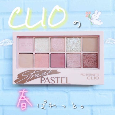 プロ アイ パレット 06 STREET PASTEL/CLIO/パウダーアイシャドウを使ったクチコミ（1枚目）