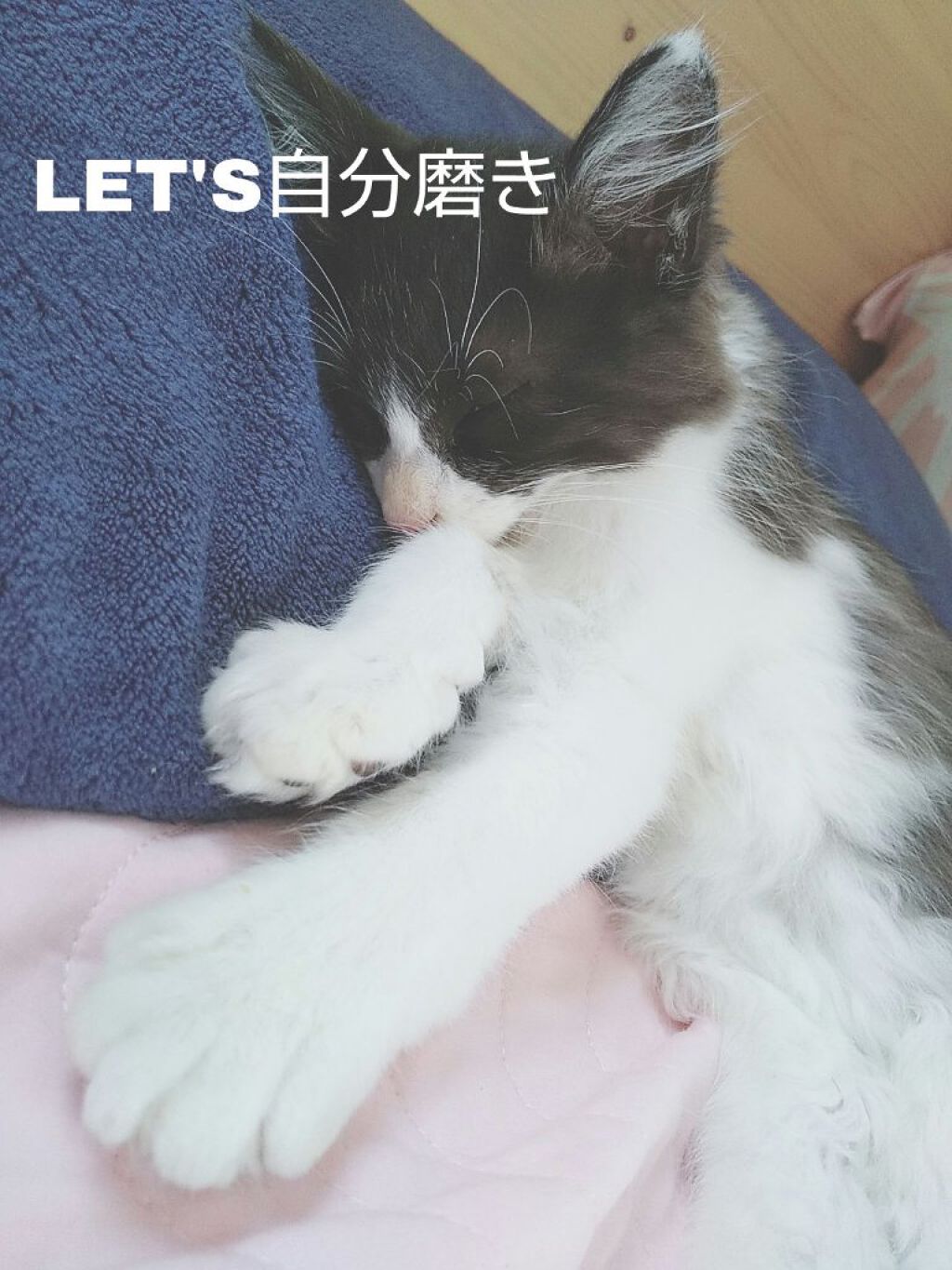 カンコレ まつげ美容液/DAISO/マスカラ下地を使ったクチコミ（1枚目）