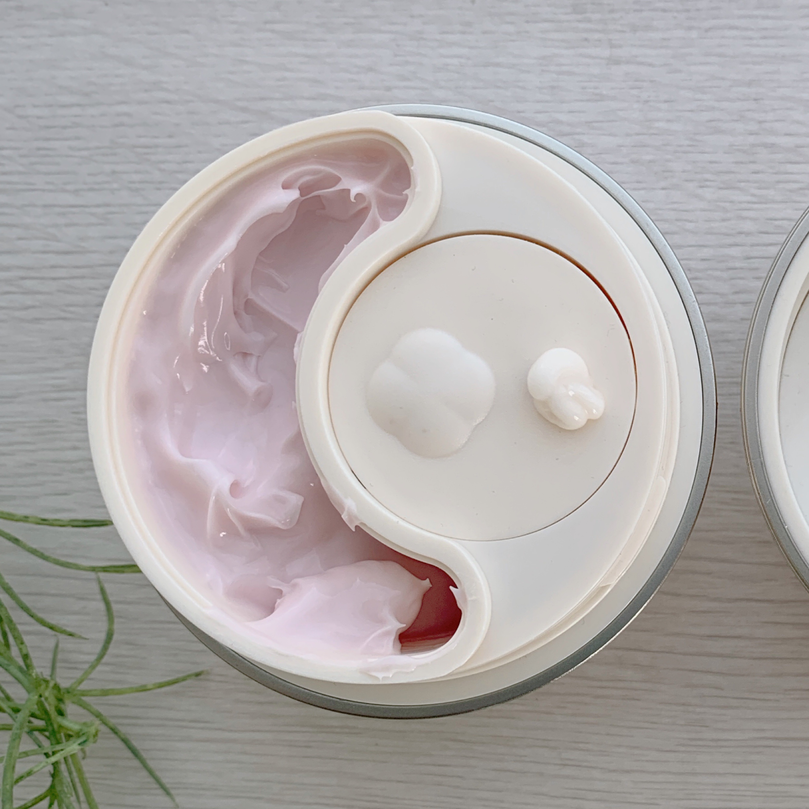 ココチ エージー グローイング エッセンス クリーム マスク/COCOCHI/フェイスクリームを使ったクチコミ（2枚目）