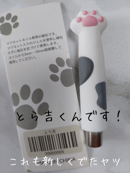 アニマルマグネットジェル/ネイル工房/ジェルネイルを使ったクチコミ(3枚目)