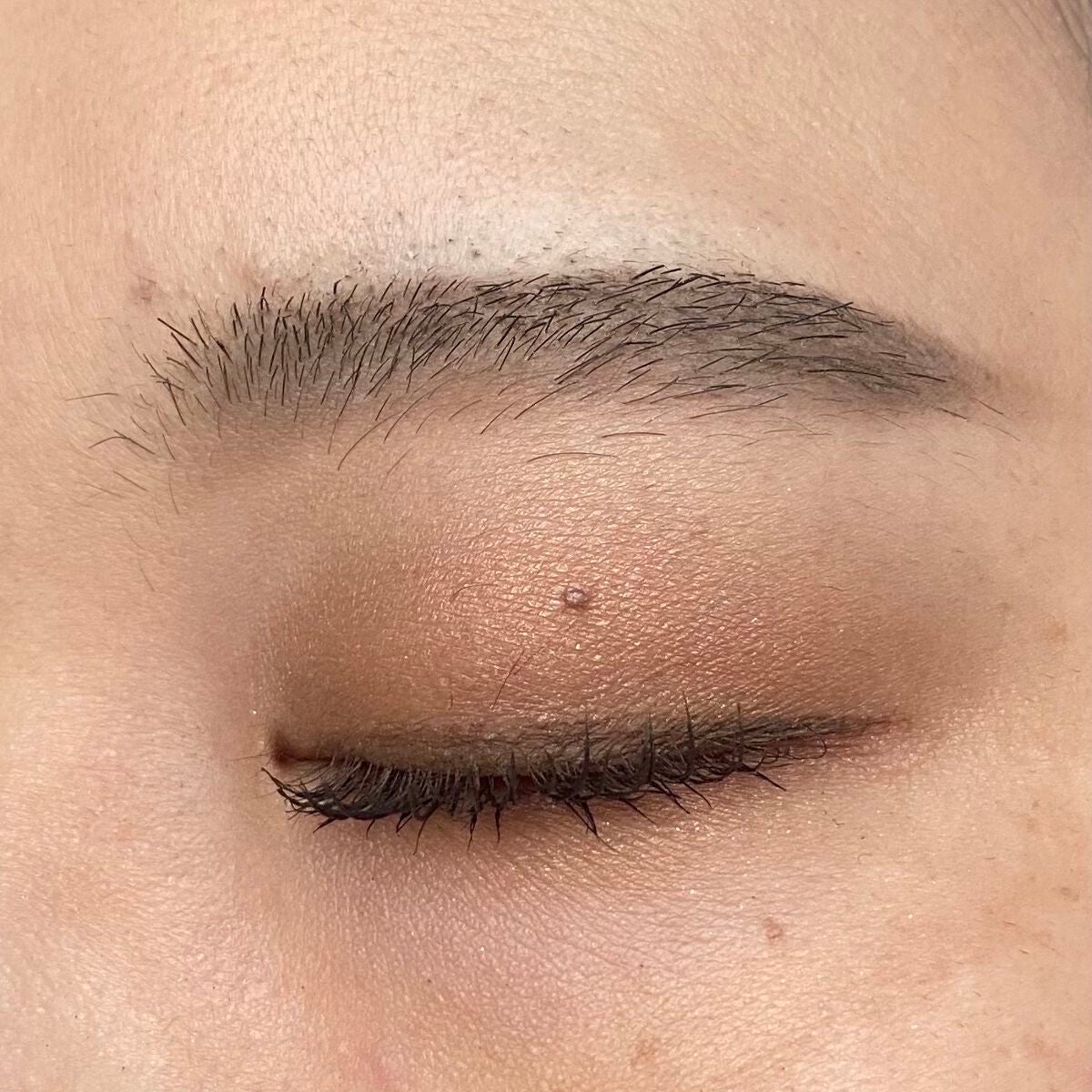 アイカラーレーション/LUNASOL/アイシャドウパレットを使ったクチコミ(4枚目)