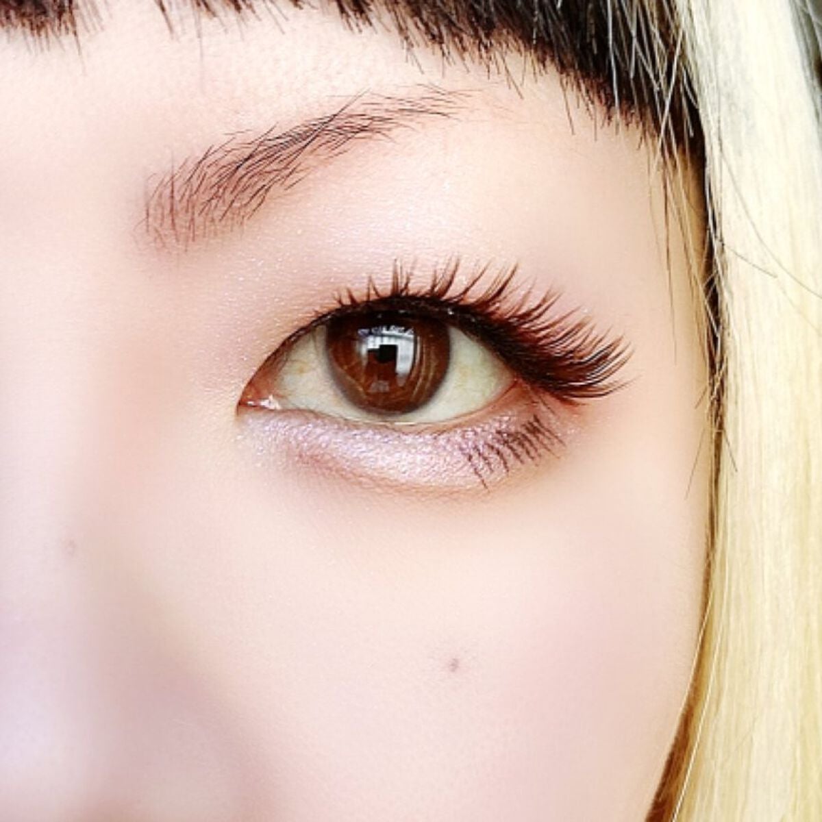 プロ アイ パレット/CLIO/アイシャドウパレットを使ったクチコミ(6枚目)