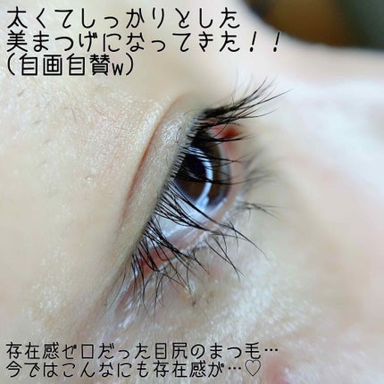 EMAKED(エマーキット)/水橋保寿堂製薬/まつげ美容液を使ったクチコミ(4枚目)
