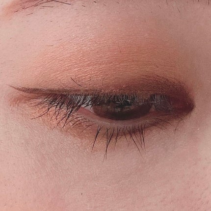 スキニーリッチシャドウ/excel/アイシャドウパレットを使ったクチコミ(5枚目)