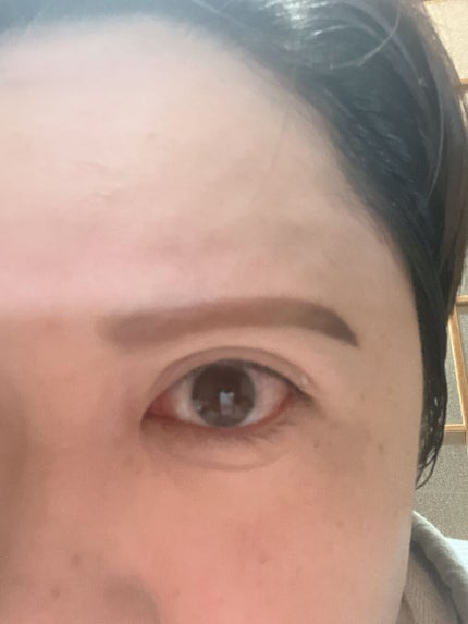 AT アイブロウ コート/Art Collection/アイブロウコートを使ったクチコミ(8枚目)