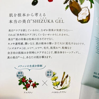 オールインワン シズカゲル/Shizuka BY SHIZUKA NEWYORK/オールインワン化粧品を使ったクチコミ（5枚目）