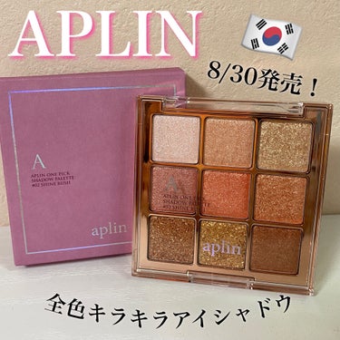 ワンピックアイシャドウパレット/APLIN/パウダーアイシャドウを使ったクチコミ（1枚目）