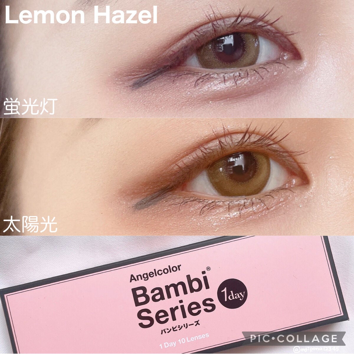 Angelcolor Bambi Series 1day /AngelColor/ワンデー(1DAY)カラコンを使ったクチコミ(4枚目)