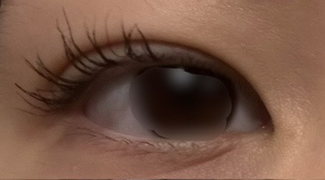 アイラッシュカーラー/SHISEIDO/ビューラーを使ったクチコミ（1枚目）