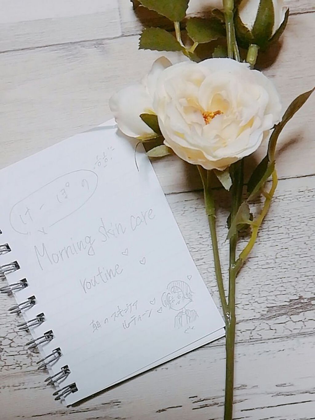 ノーセバム ミネラルパウダー/innisfree/ルースパウダーを使ったクチコミ(1枚目)