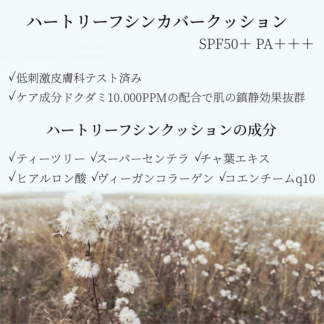 ハートリーフシーンカバークッション/23years old/クッションファンデーションを使ったクチコミ（3枚目）