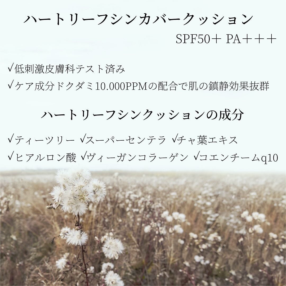 ハートリーフシーンカバークッション/23years old/クッションファンデーションを使ったクチコミ(3枚目)