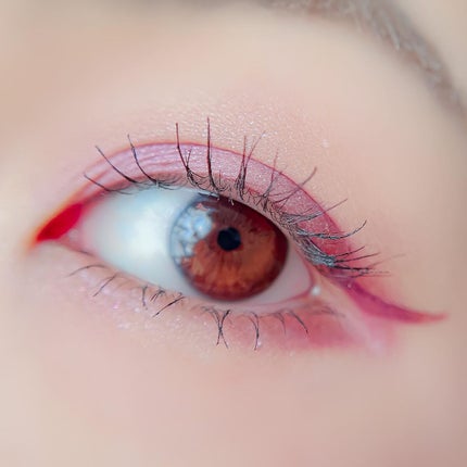 【旧】サンク クルール クチュール/Dior/アイシャドウパレットを使ったクチコミ(6枚目)