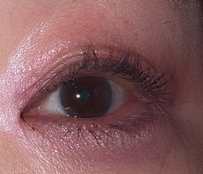 単色アイシャドウ/#4me by GU/単色アイシャドウを使ったクチコミ（2枚目）