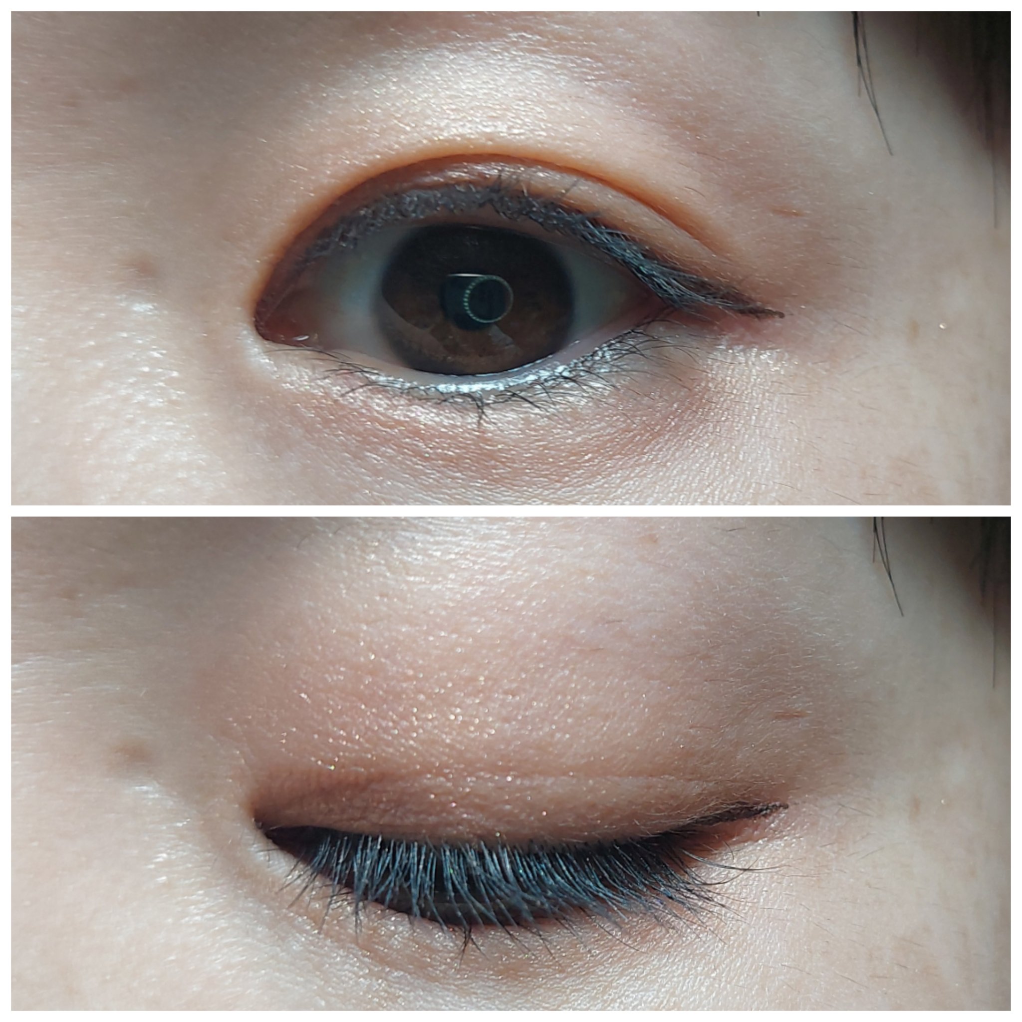 エレガンス エタンセル アルモニーアイズ/Elégance/アイシャドウパレットを使ったクチコミ（2枚目）