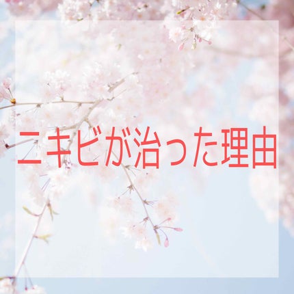 ハトムギ化粧水(ナチュリエ スキンコンディショナー R )/ナチュリエ/化粧水を使ったクチコミ(1枚目)