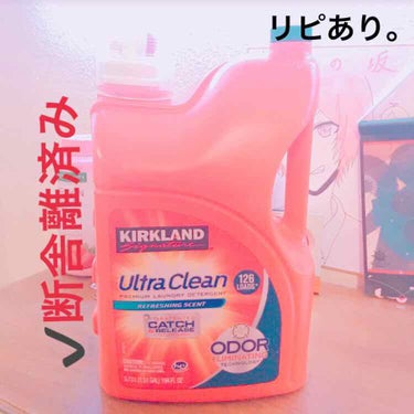 愛梨花🌷 on LIPS 「【KIRKLANDUltraClean】内容量:5.73L値段..」（1枚目）