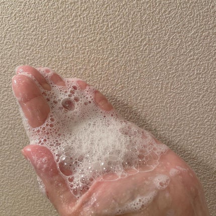 ããã¢ã€ã¹ãã·ã£ã³ããŒïŒããªãŒãã¡ã³ã/byTREES/åžè²©ã·ã£ã³ããŒã䜿ã£ãã¯ãã³ãïŒ3æç®ïŒ