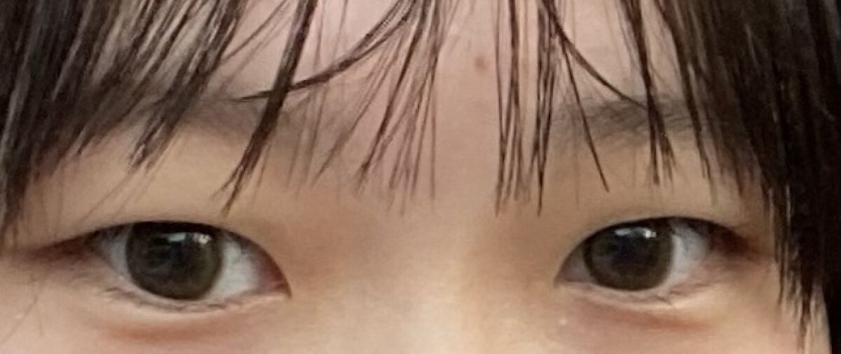 prismel 1day/Prismel/ワンデー（１DAY）カラコンを使ったクチコミ（3枚目）