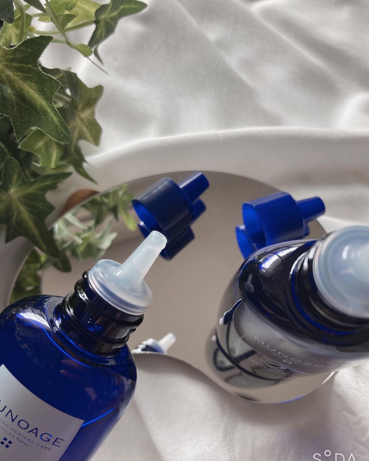 Wアプローチヘアプログラム/MUNOAGE(ミューノアージュ)/頭皮ローションを使ったクチコミ（2枚目）