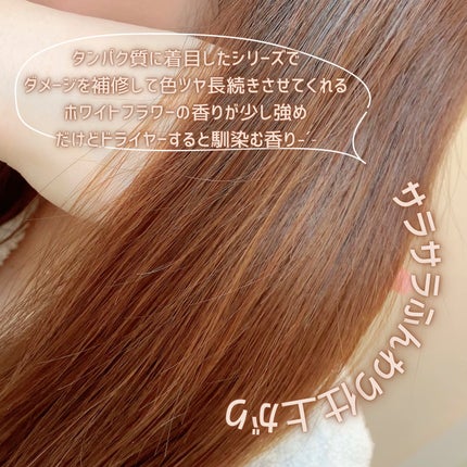 ネクサス リペア&カラープロテクト シャンプー/トリートメント/NEXXUS(ネクサス)/市販シャンプーを使ったクチコミ(3枚目)