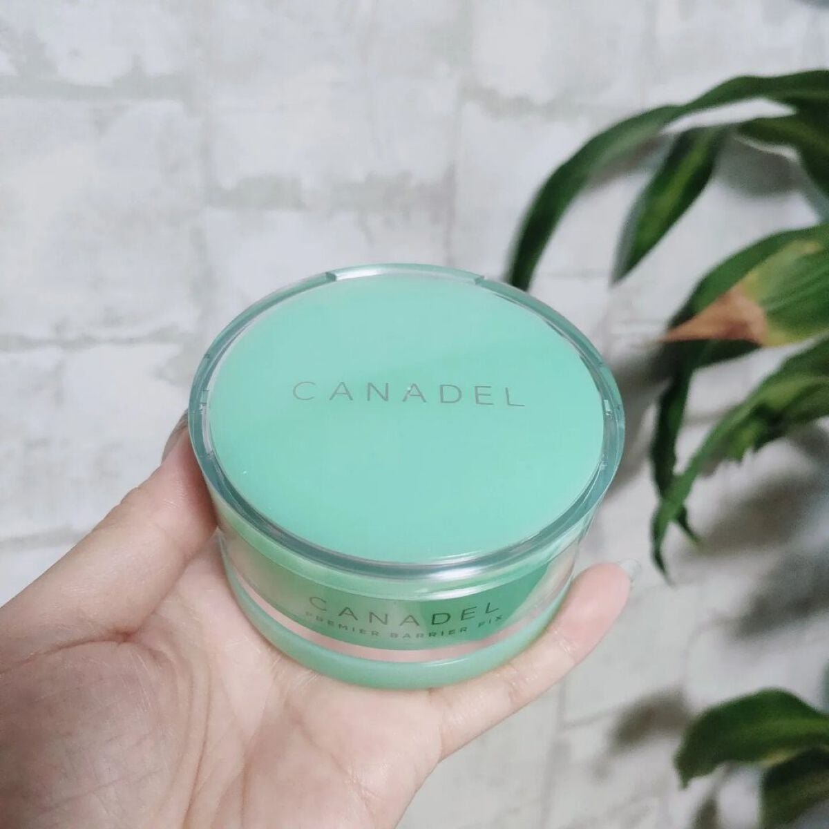 プレミアバリアフィックス /CANADEL/オールインワン化粧品を使ったクチコミ(1枚目)