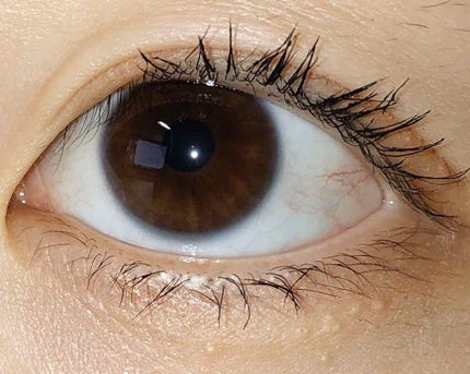 ラッシュエキスパンダー ロングロングロング/MAJOLICA MAJORCA/マスカラを使ったクチコミ(3枚目)