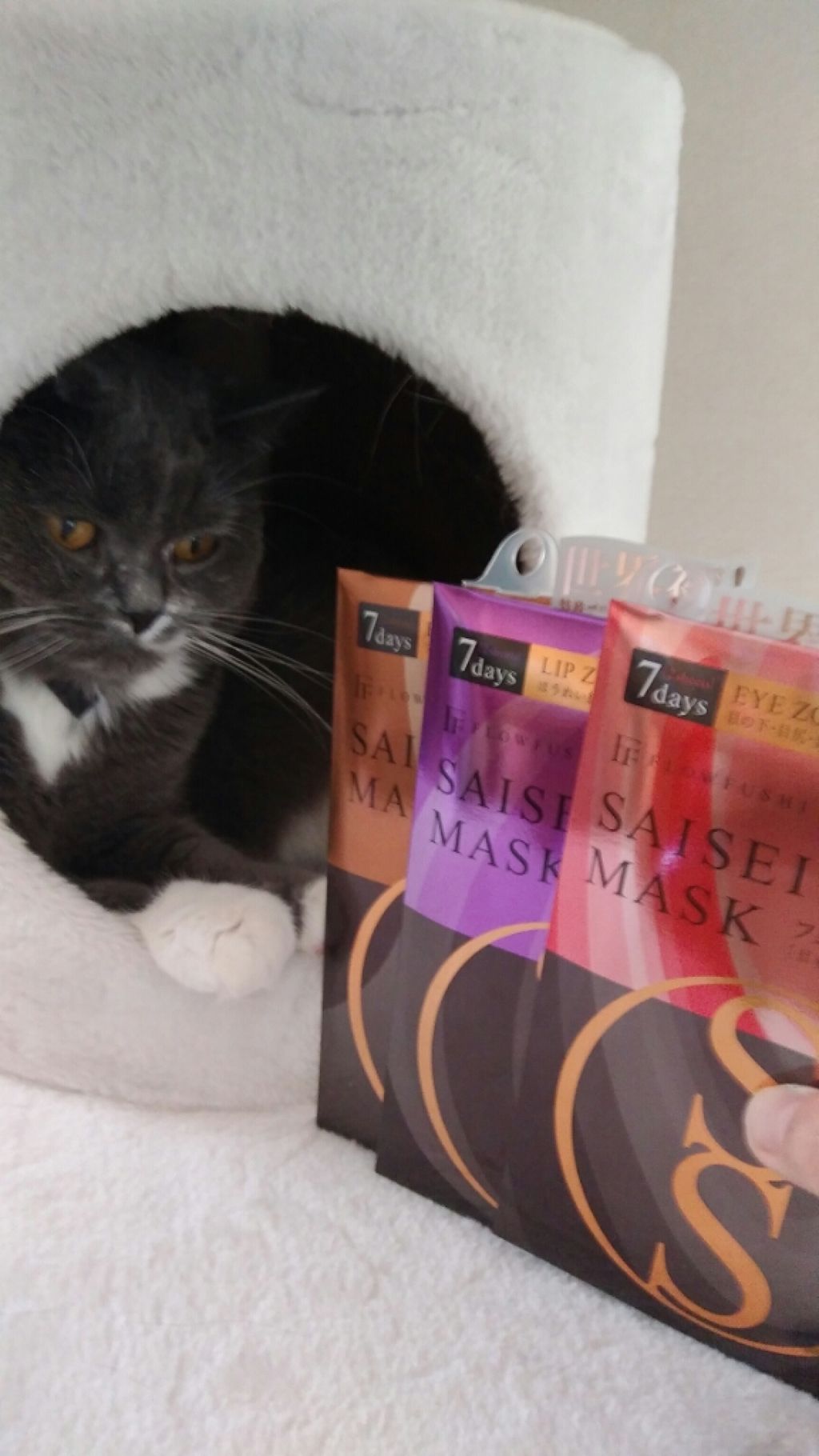 38°C / 99°F リップトリートメント (リップ美容液)/UZU BY FLOWFUSHI/リップケアを使ったクチコミ(3枚目)