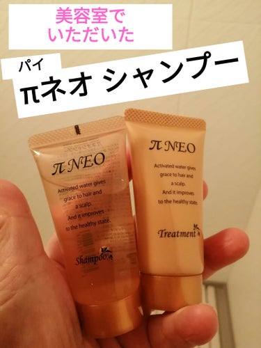 ✨✨パイネオシャンプー/トリートメント　✨✨


行きつけの美容室でいただいた30ml、30g入りミニサイズなのですが、１週間ぐらい充分に使えました～🎶



✼••┈┈••✼••┈┈••✼••┈┈••