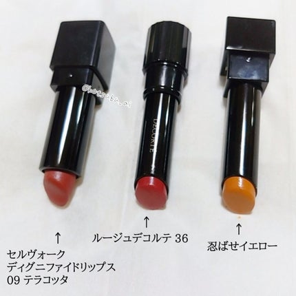 ディグニファイド リップス/Celvoke/口紅を使ったクチコミ(8枚目)