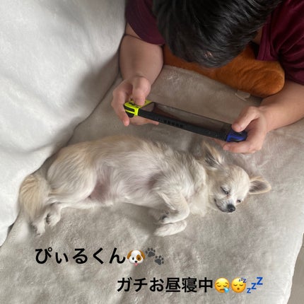 フェイスクリーム/アセトメル/フェイスクリームを使ったクチコミ(5枚目)