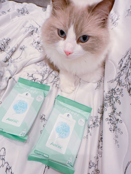 Atsude 流せる!超厚手やわらかシート/AIRFRIC/ティッシュを使ったクチコミ(7枚目)