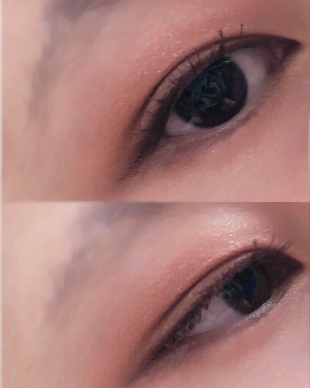 AC カラーアイパレット/AC MAKEUP/アイシャドウパレットを使ったクチコミ（2枚目）