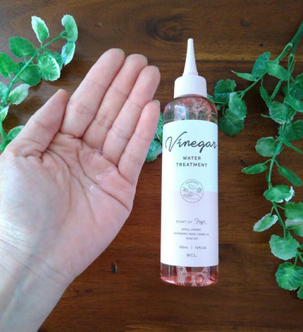 ウォータートリートメント/ビネガーデン/洗い流すヘアトリートメントを使ったクチコミ(2枚目)