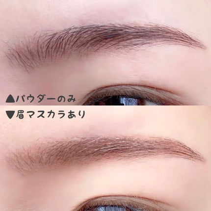 ラヴェージュ  3Dアイブロウパウダー/セルレ/パウダーアイブロウを使ったクチコミ(4枚目)