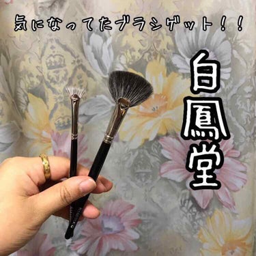 J4006 マスカラ 扇段/白鳳堂/メイクブラシを使ったクチコミ（1枚目）