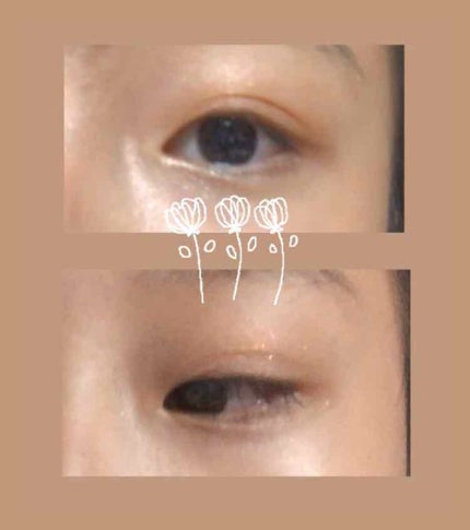 UR GLAM BLOOMING EYE COLOR PALETTE/U R GLAM/アイシャドウパレットを使ったクチコミ(2枚目)