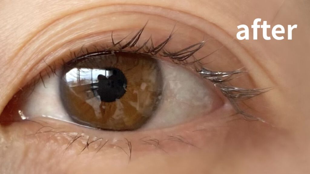 アイラッシュ カーラー N/ANNA SUI/ビューラーを使ったクチコミ（3枚目）