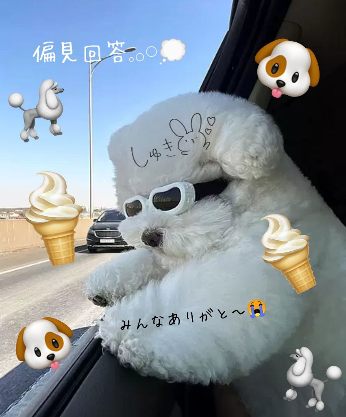 そな on LIPS 「偏見を書いてくださった皆さん、ご協力ありがとうございました☁️..」(1枚目)