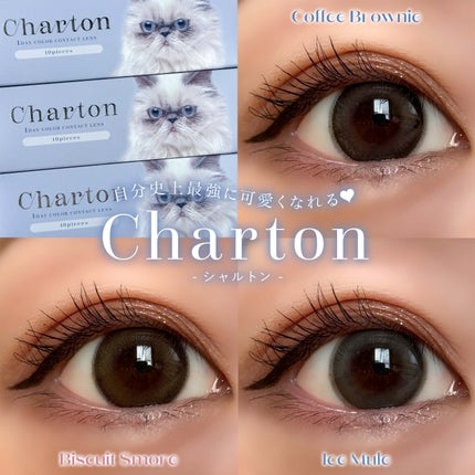Charton 1day/Charton/ワンデー(1DAY)カラコンを使ったクチコミ(1枚目)