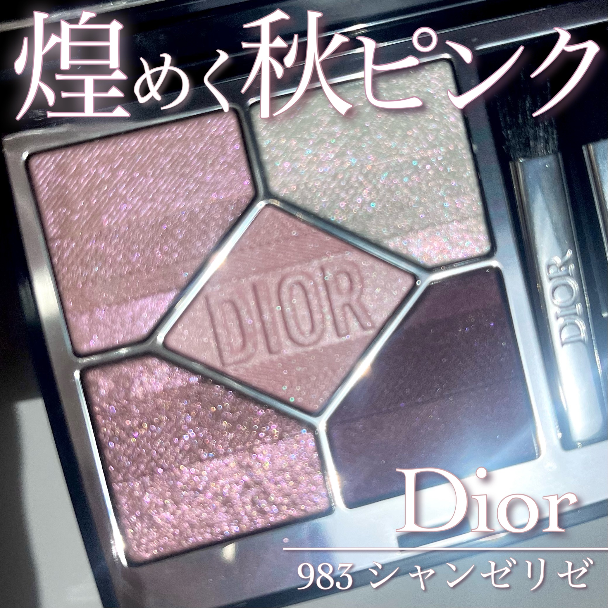 【旧】ディオールショウ サンク クルール（プラン ドゥ パリ コレクション限定品）/Dior/アイシャドウを使ったクチコミ（1枚目）