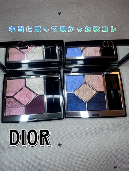ディオールショウ サンク クルール(プラン ドゥ パリ コレクション限定品)/Dior/アイシャドウを使ったクチコミ(1枚目)