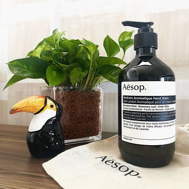 アンドラム アロマティック ハンドウォッシュ/Aesop/ハンドソープを使ったクチコミ（1枚目）