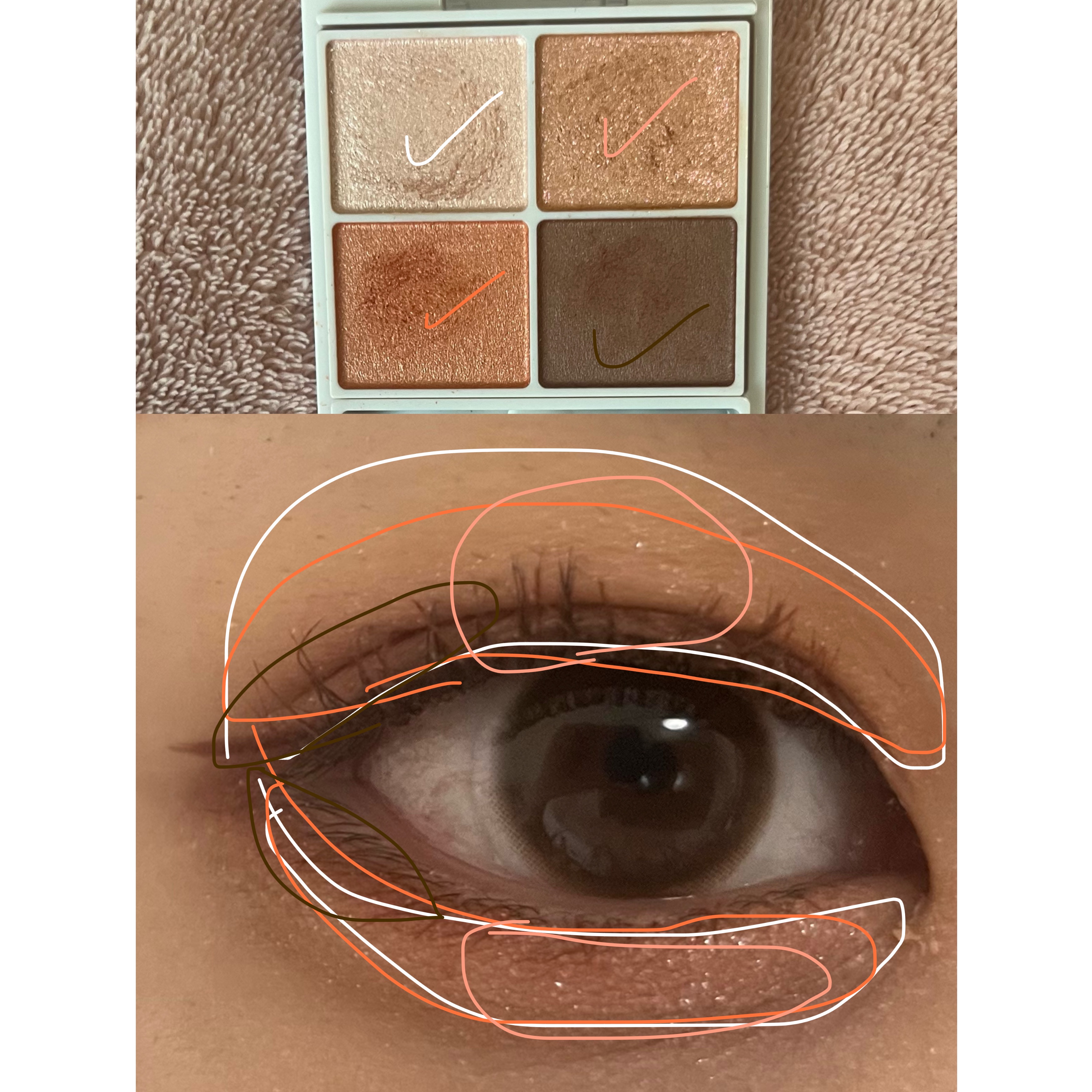 クイックラッシュカーラー/キャンメイク/マスカラ下地を使ったクチコミ（2枚目）