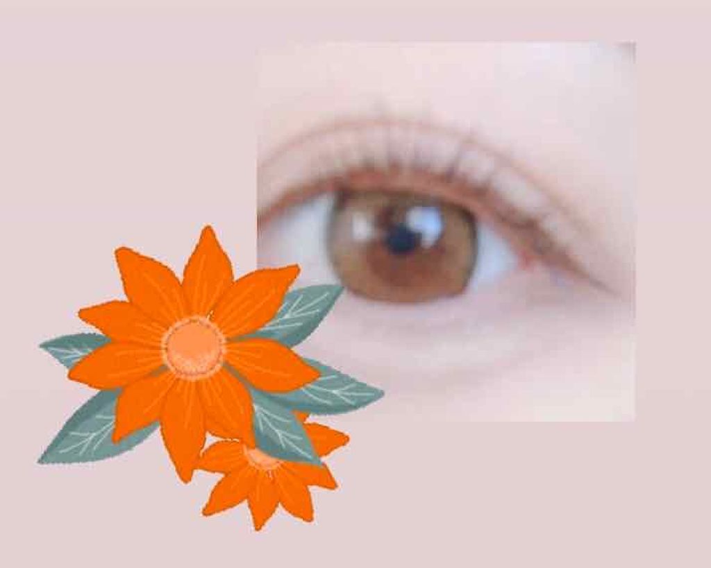 ラッシュジェリードロップ/MAJOLICA MAJORCA/まつげ美容液を使ったクチコミ（1枚目）