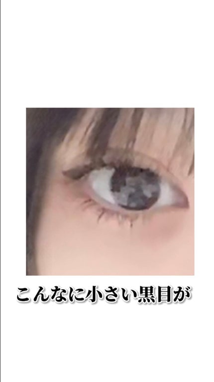 secretcandymagic 1day(シークレットキャンディーマジック)/secret candymagic/ワンデー(1DAY)カラコンを使ったクチコミ(2枚目)