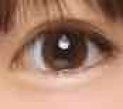 ReVIA 1day/ReVIA/ワンデー(1DAY)カラコンを使ったクチコミ(3枚目)